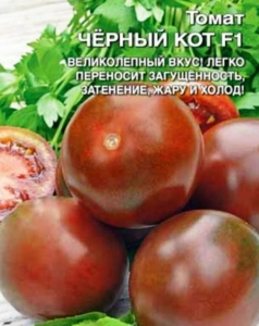 Томат Черный кот