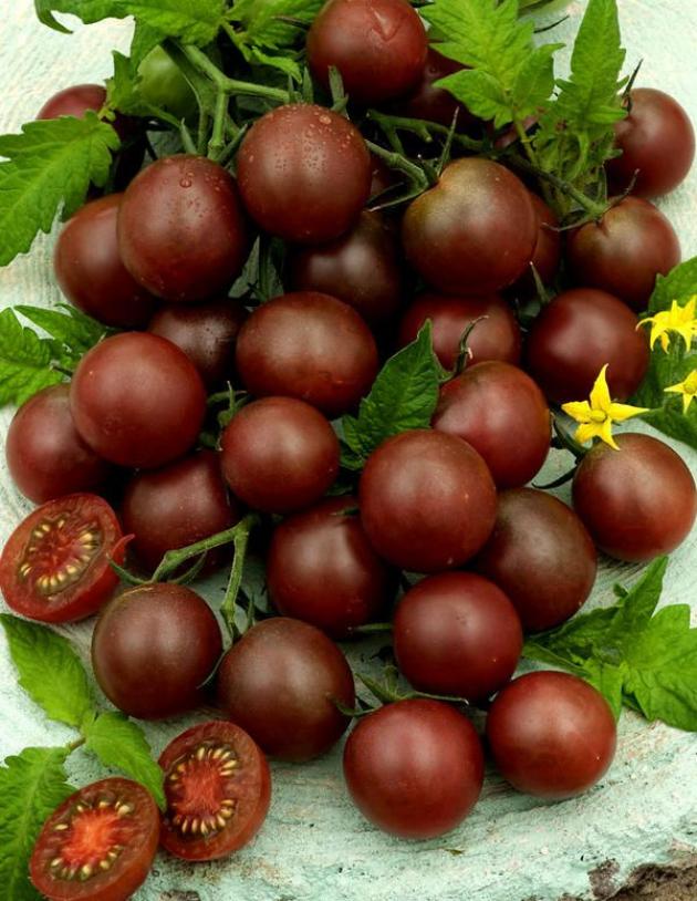 Томат Черный шоколад 6