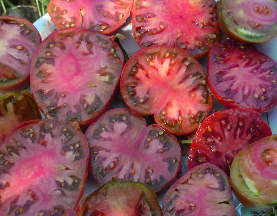 Томат Черный тюльпан 3