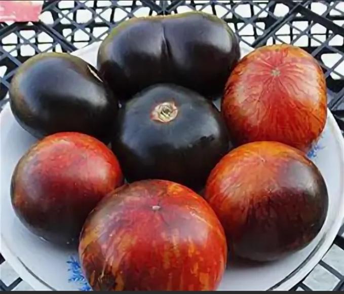 Томат Черный тюльпан