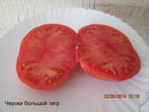 Томат Чероки большой тигр