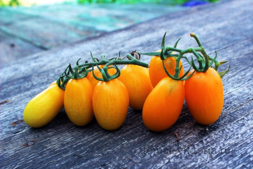 Томат Черри-Банано 3