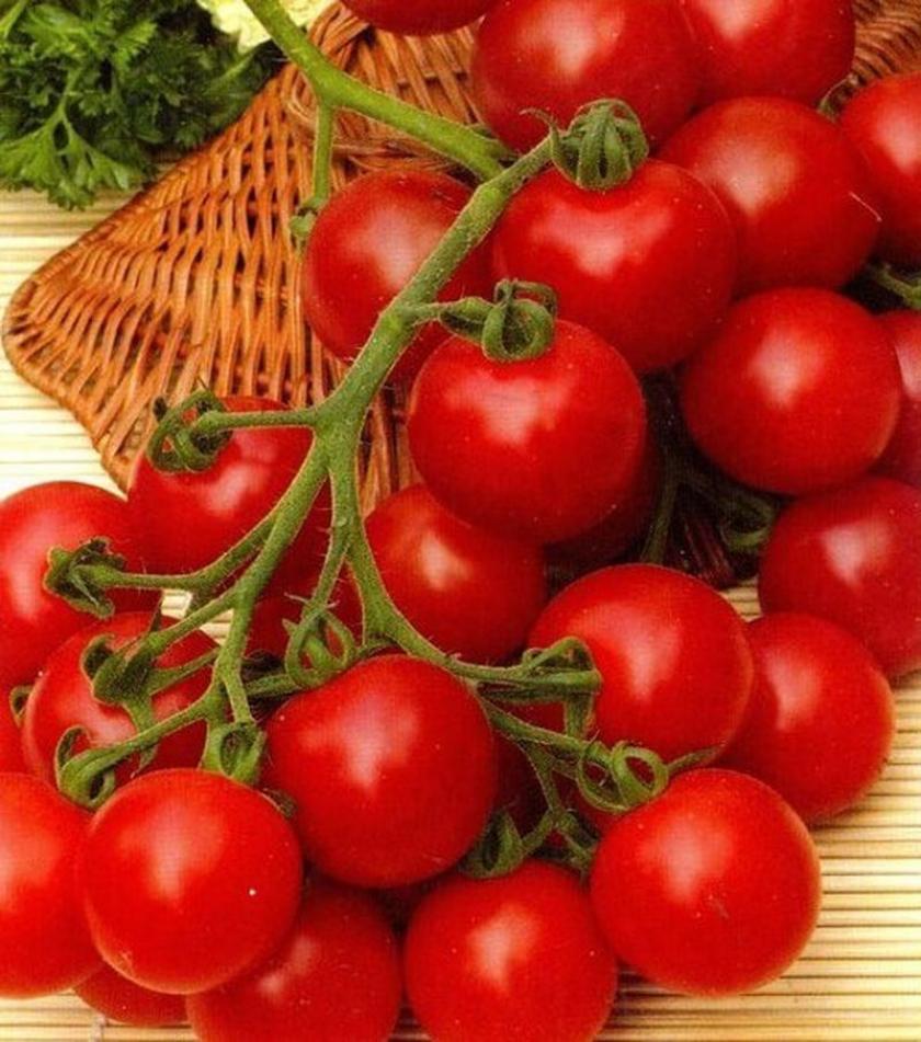 Томат Черри Блосэм 3