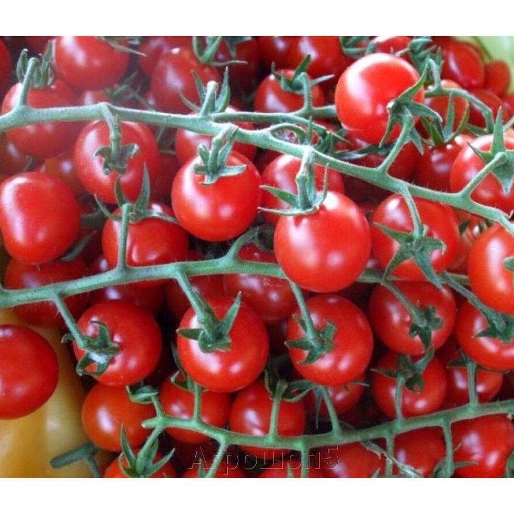Томат Черри Блосэм