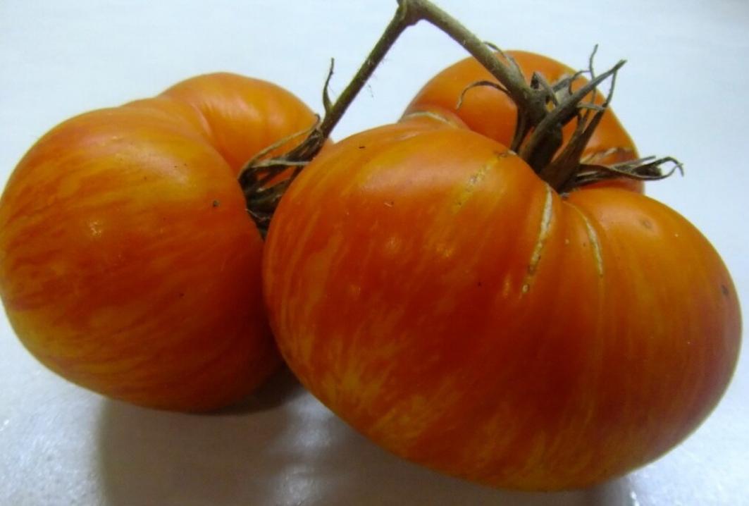 Томат Чудо Арканзаса 2