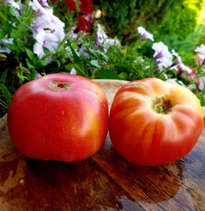 Томат Чудо Арканзаса