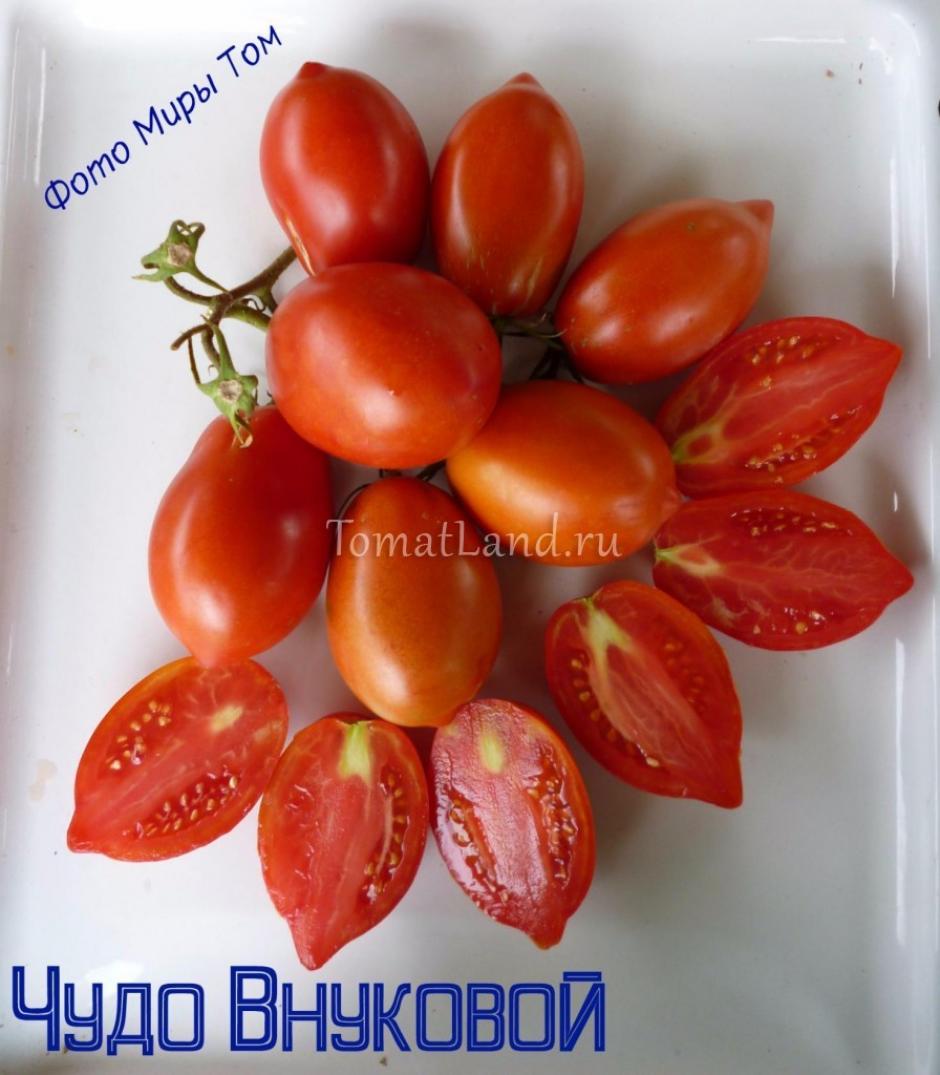 Томат Чудо Внуковой 2