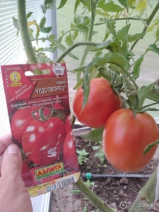 Томат Чудотворец