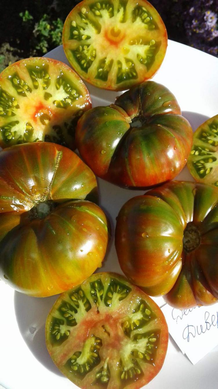 Томат Дельта Дивер красный