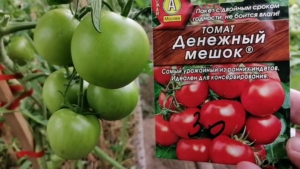Томат Денежный мешок