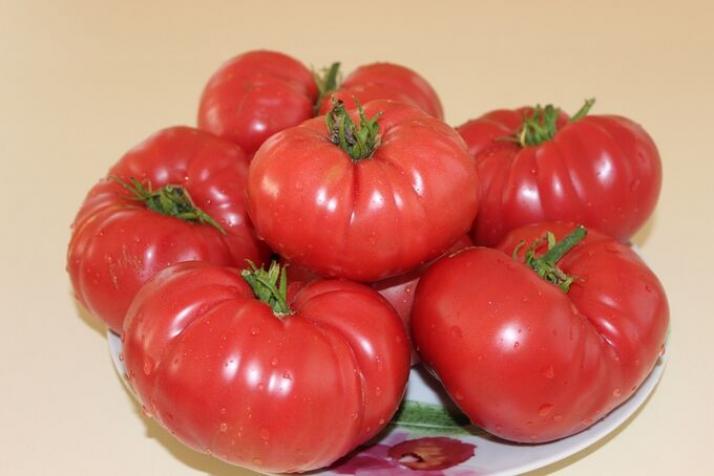 Томат Доктор Лайл 2