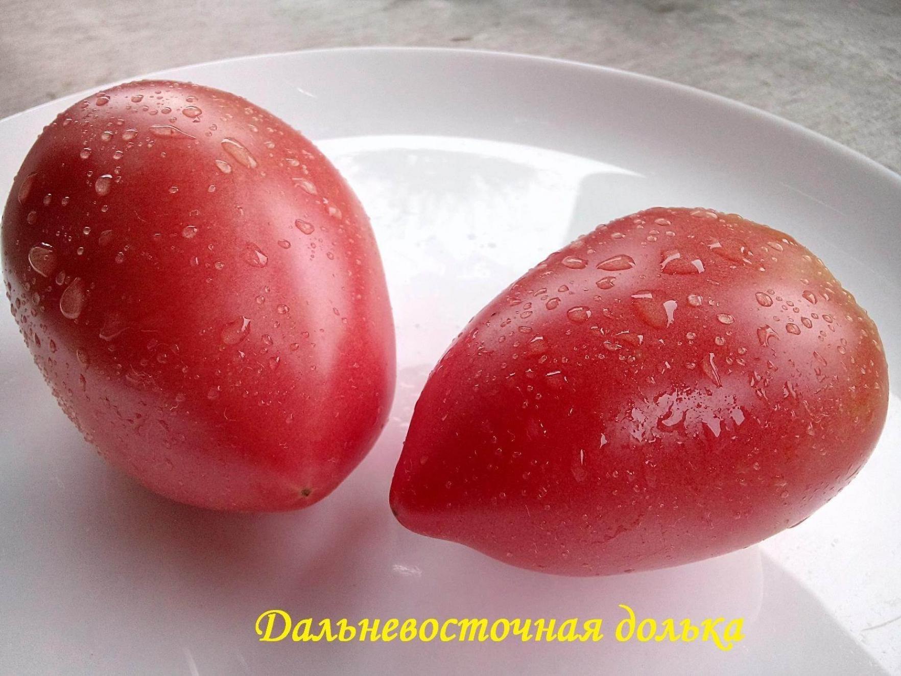 Томат Долька дальневосточная