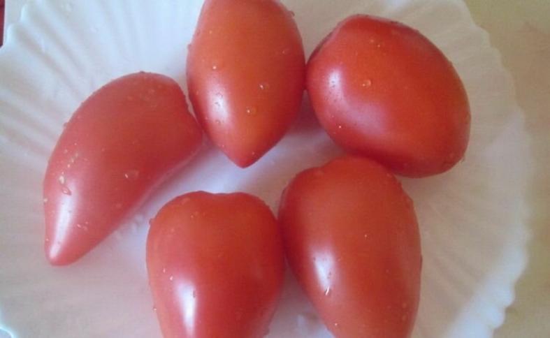 Томат Долька дальневосточная 2