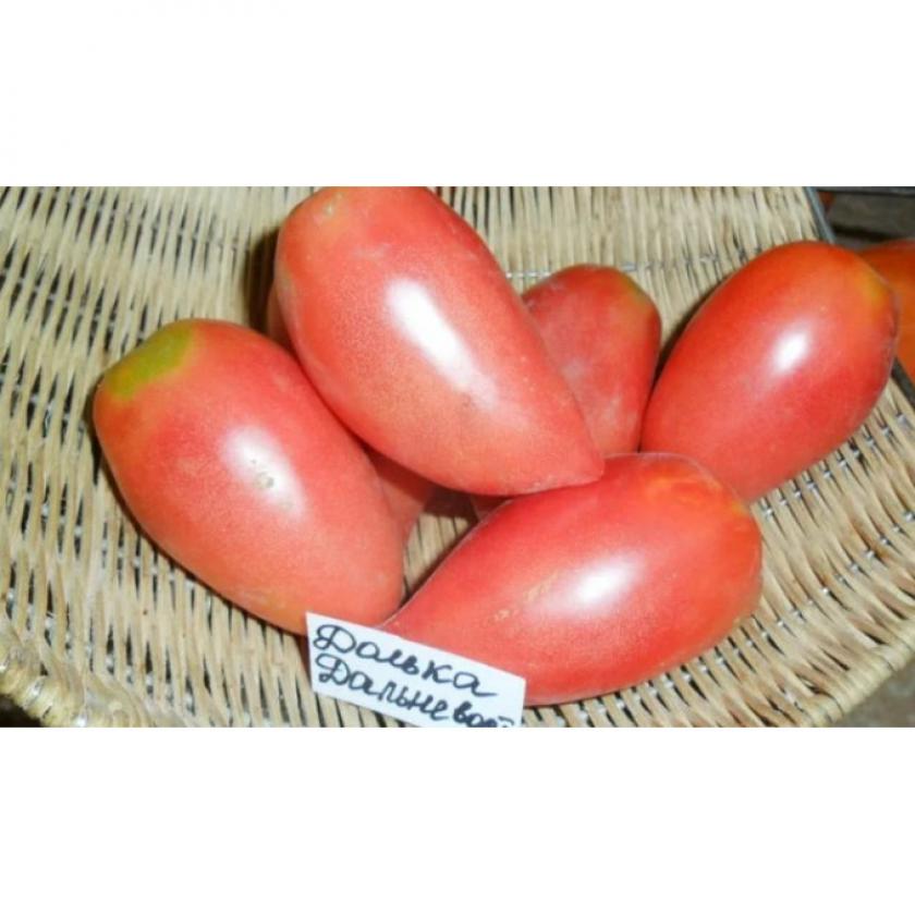 Томат Долька дальневосточная 3