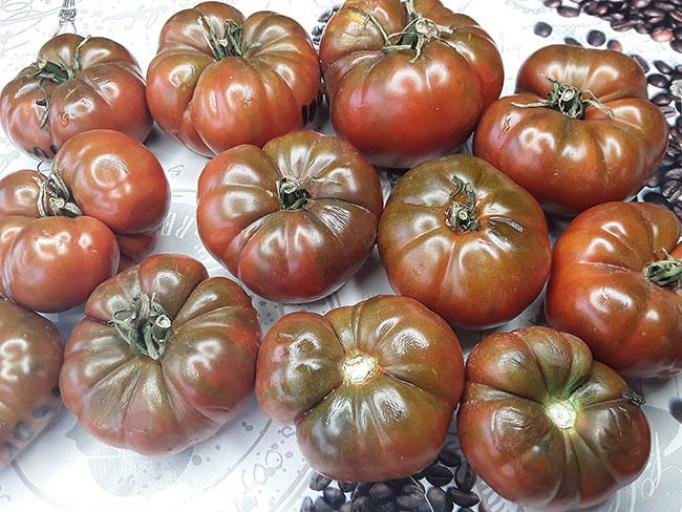 Томат Дом Арлин 2