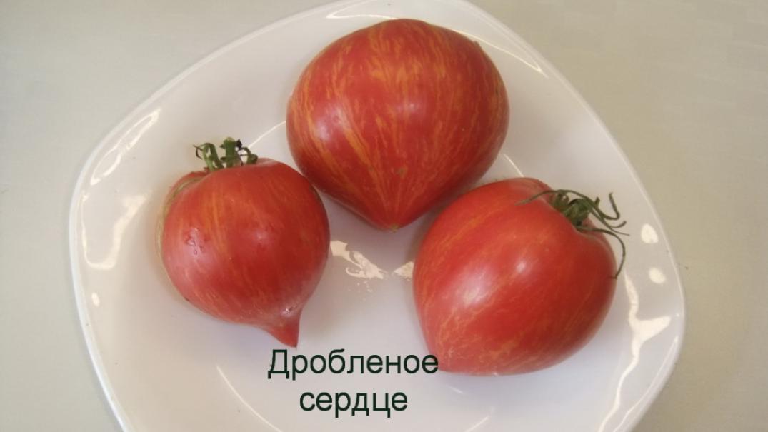 Томат Дробленое сердце 2
