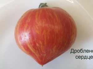 Томат Дробленое сердце
