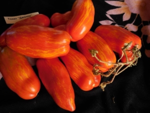 Томат Джалпа