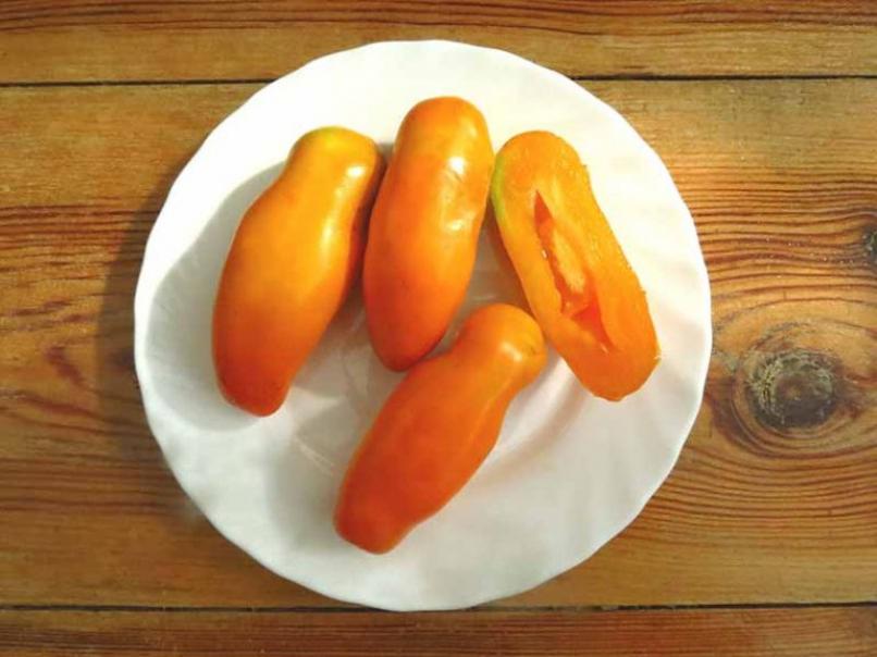 Томат Эрос оранжевый 2