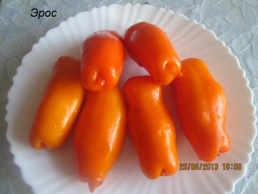 Томат Эрос оранжевый 6