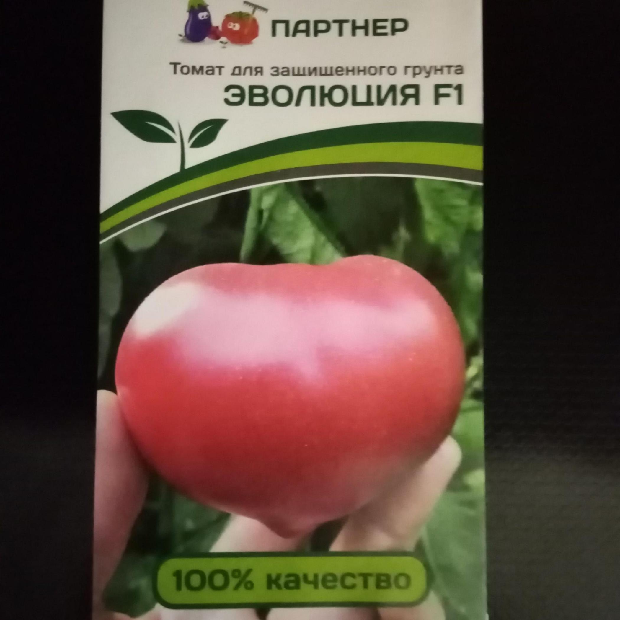Томат Эволюция 3