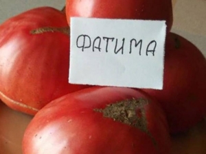 Томат Фатима