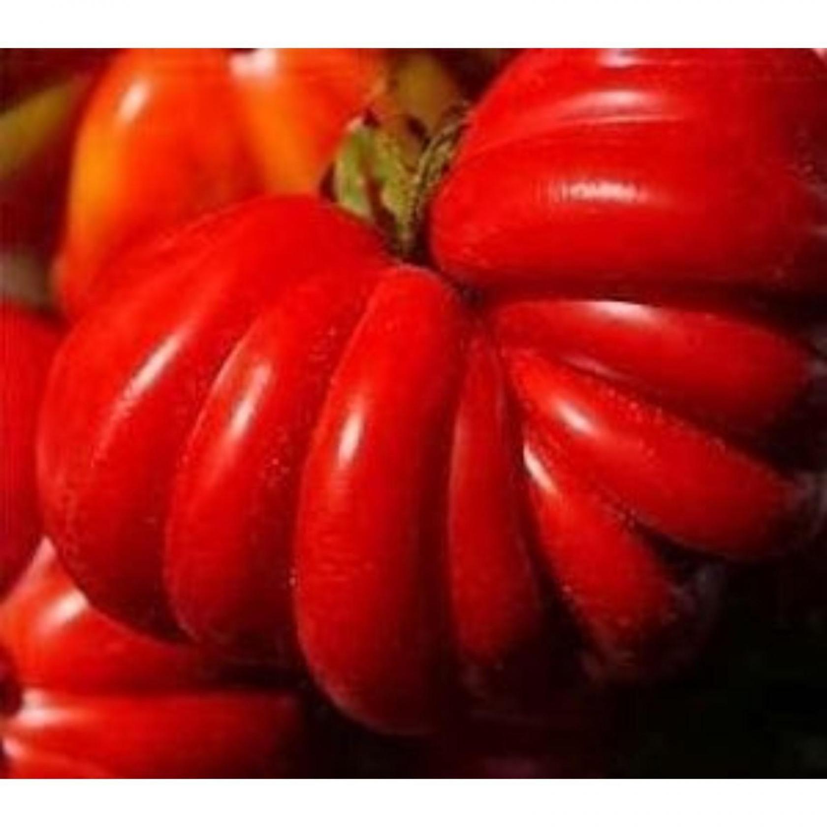 Томат Фигурный 5