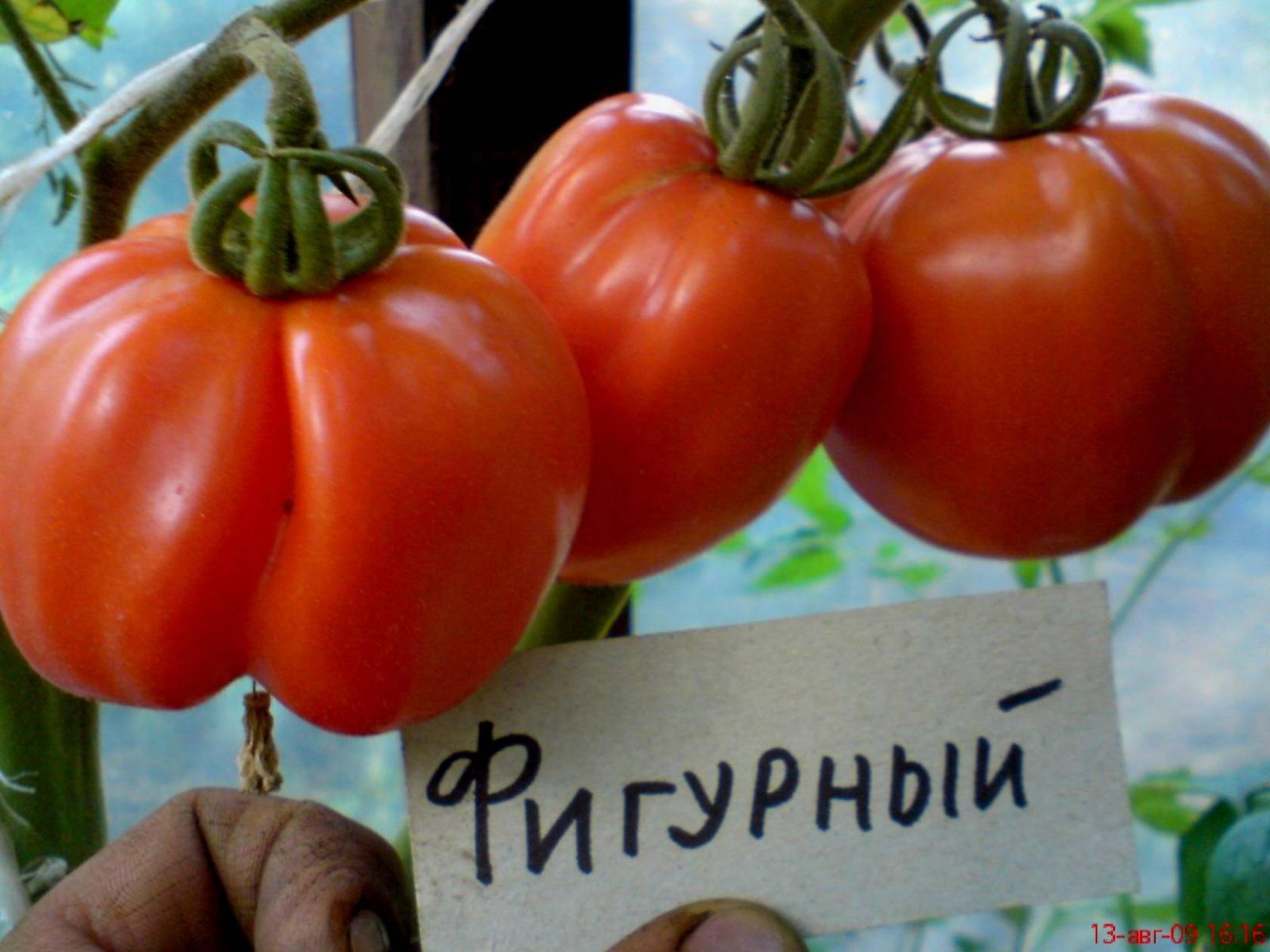 Томат Фигурный 6