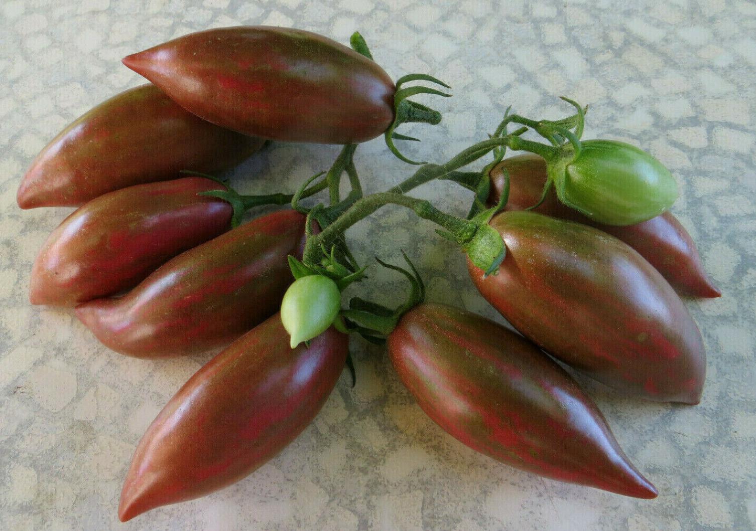 Томат Фиолетовая фея 6