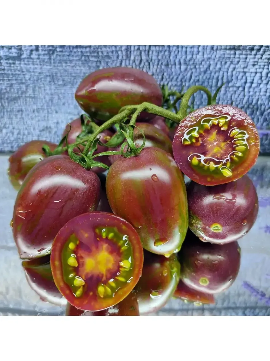 Томат Фиолетовая фея 2