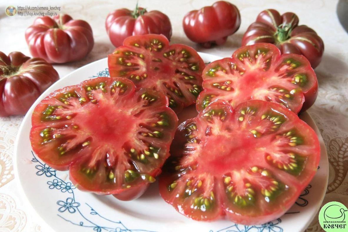 Томат Фиолетовая тыква 4