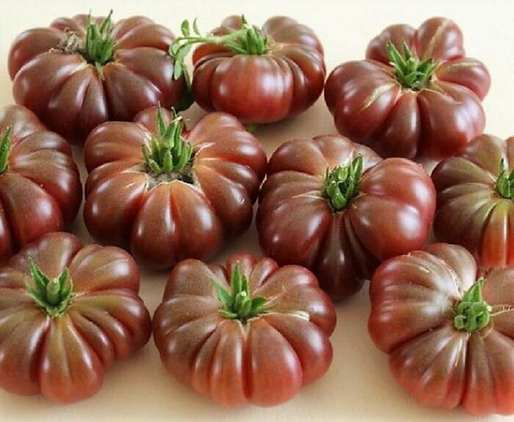 Томат Фиолетовая тыква