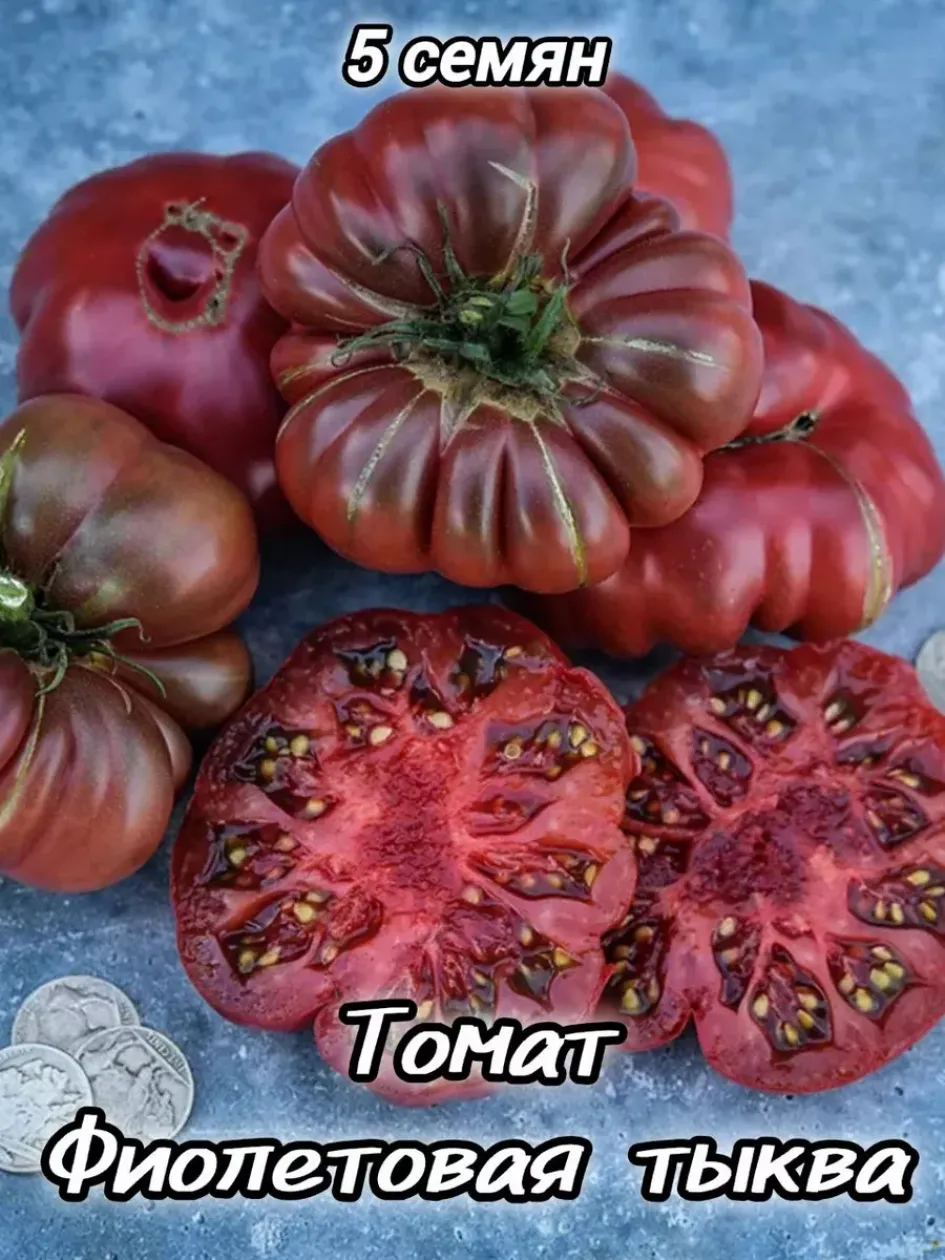 Томат Фиолетовая тыква 2