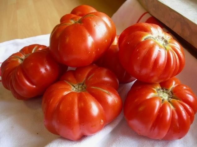 Томат Флорентино 2