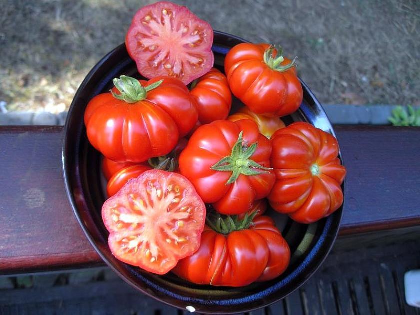 Томат Флорентино 4