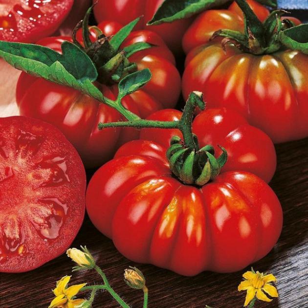 Томат Флорентино