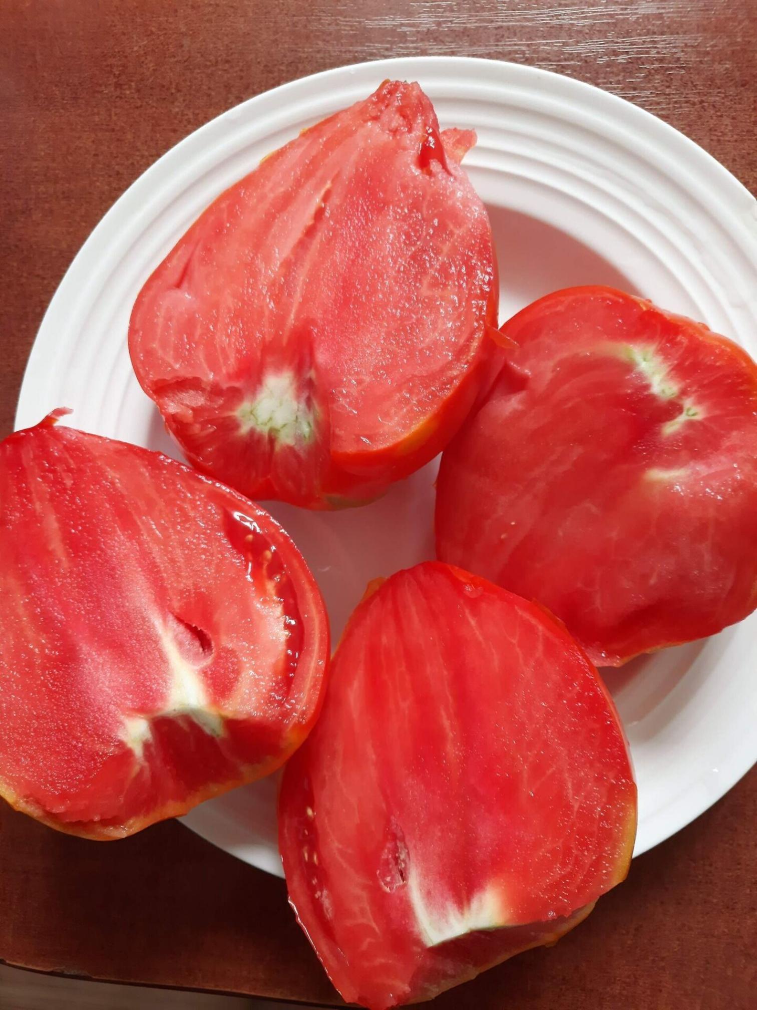 Томат Фьюб 5