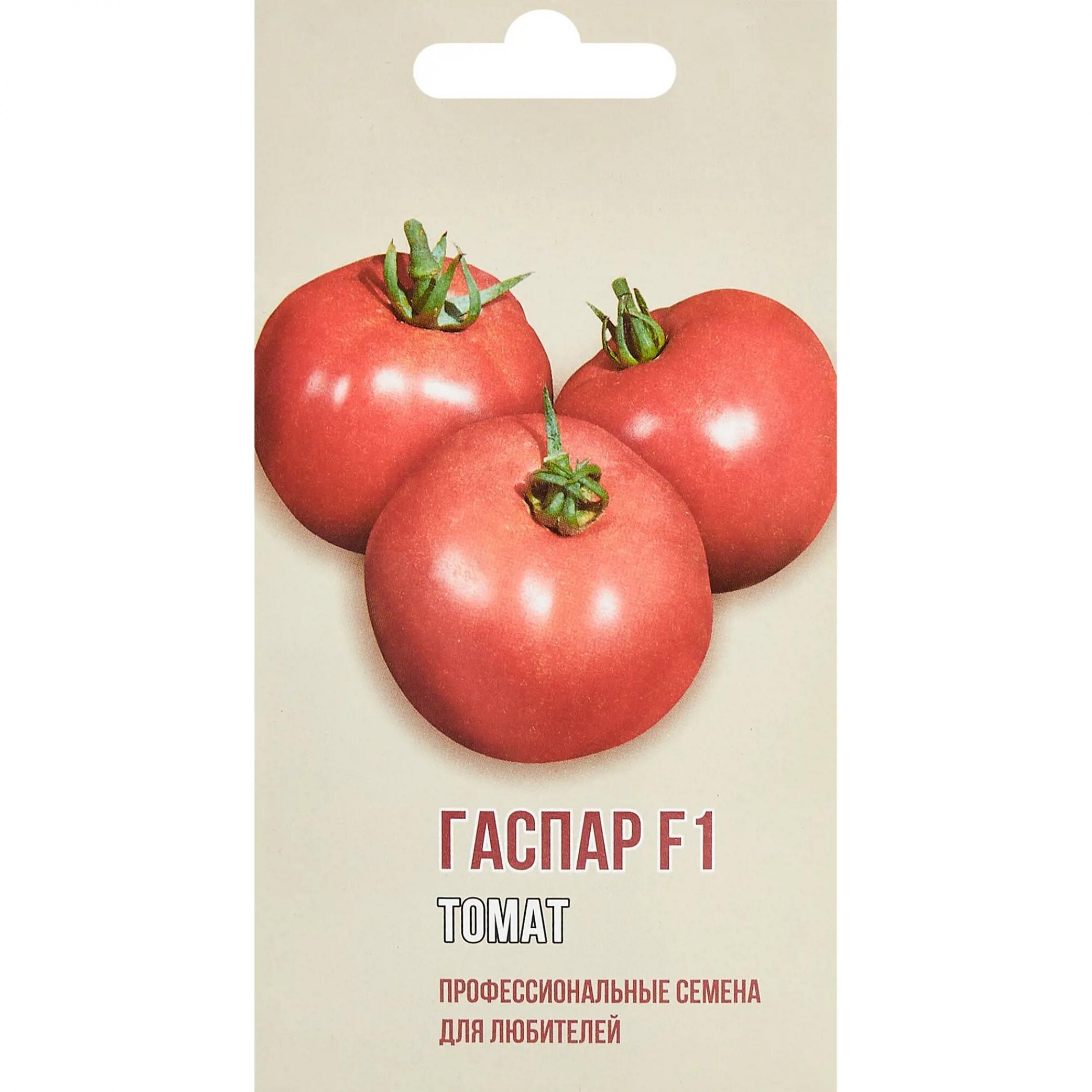 Томат Гаспар 2