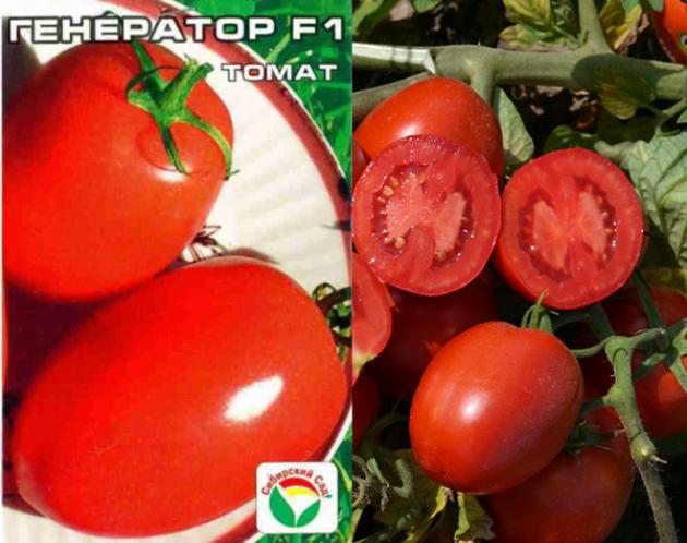 Томат Генератор