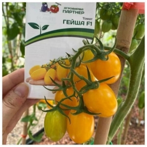 Томат Гейша