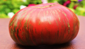 Томат Гном Фред Тай Дай