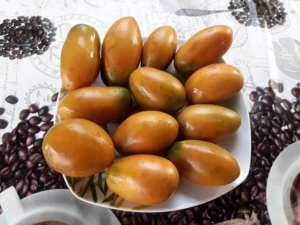 Томат Гном Глаз тигра