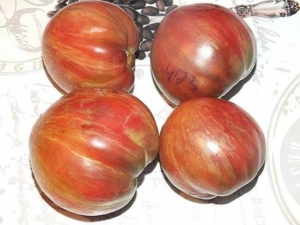 Томат Гном Грааль