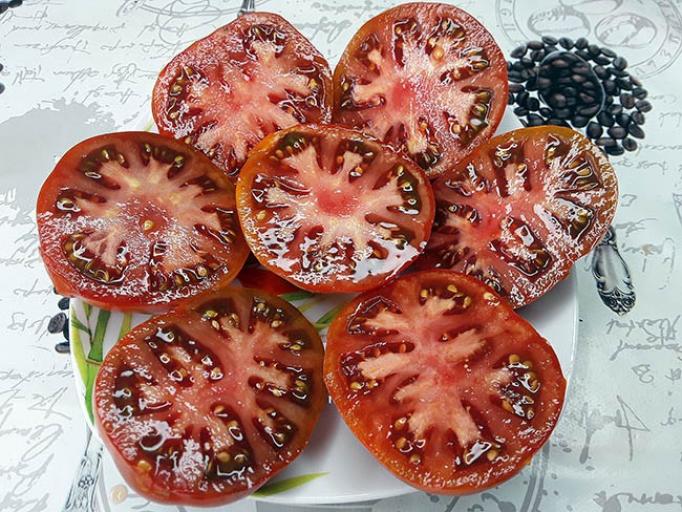 Томат Гном Король Арамис 3