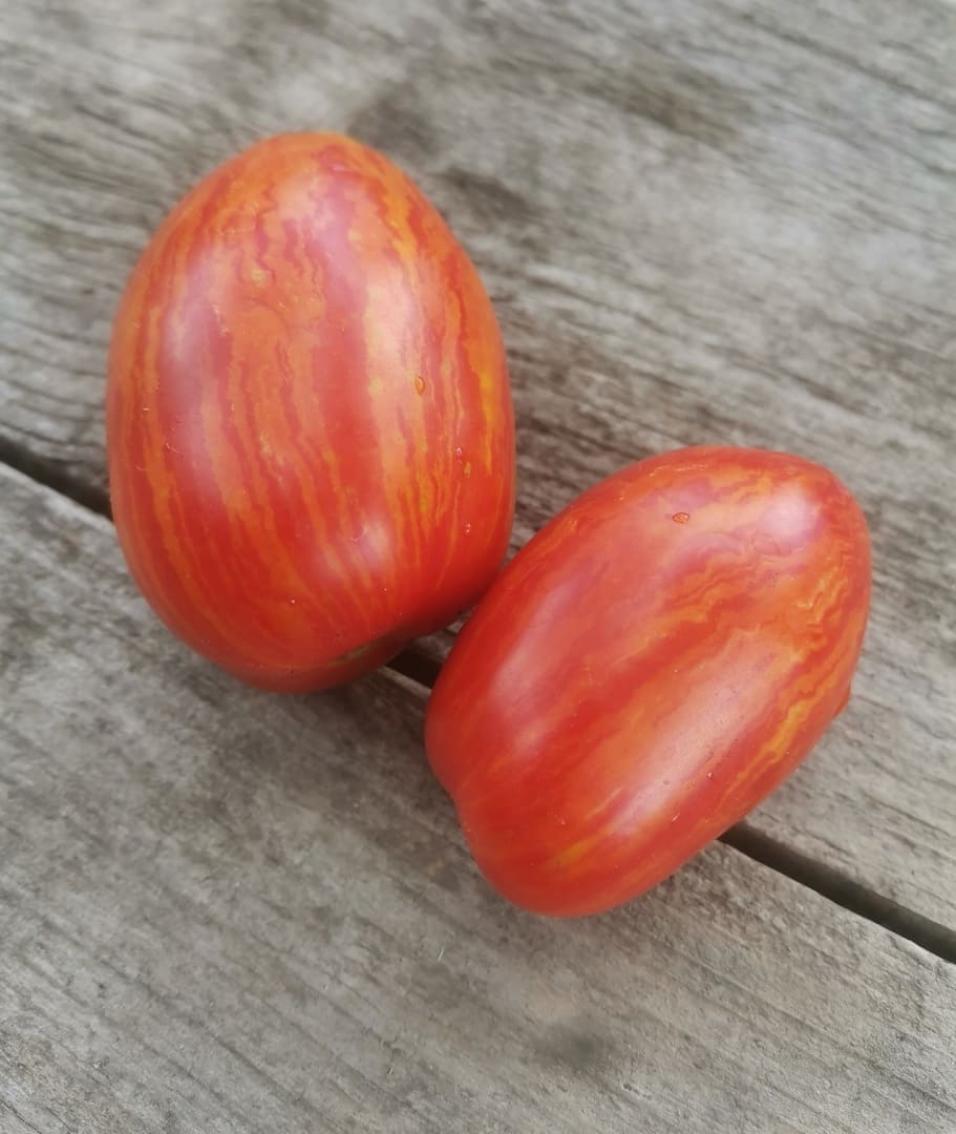 Томат Гном Крапчатое сердце 2