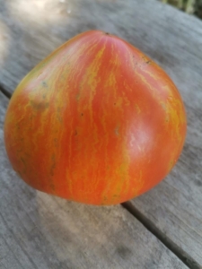 Томат Гном Крапчатое сердце