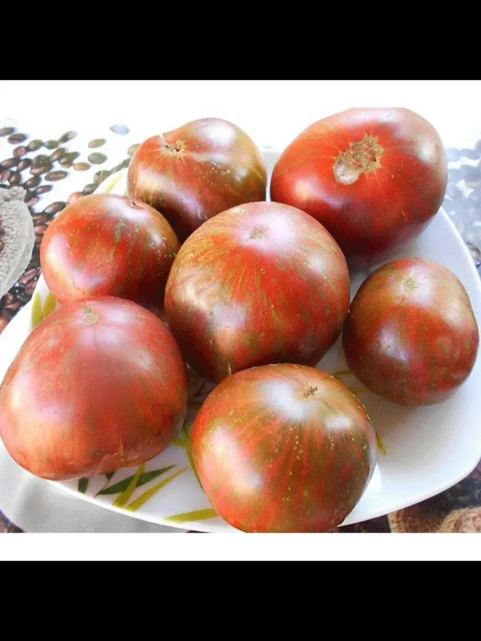 Томат Гном Малиновая нерка 2