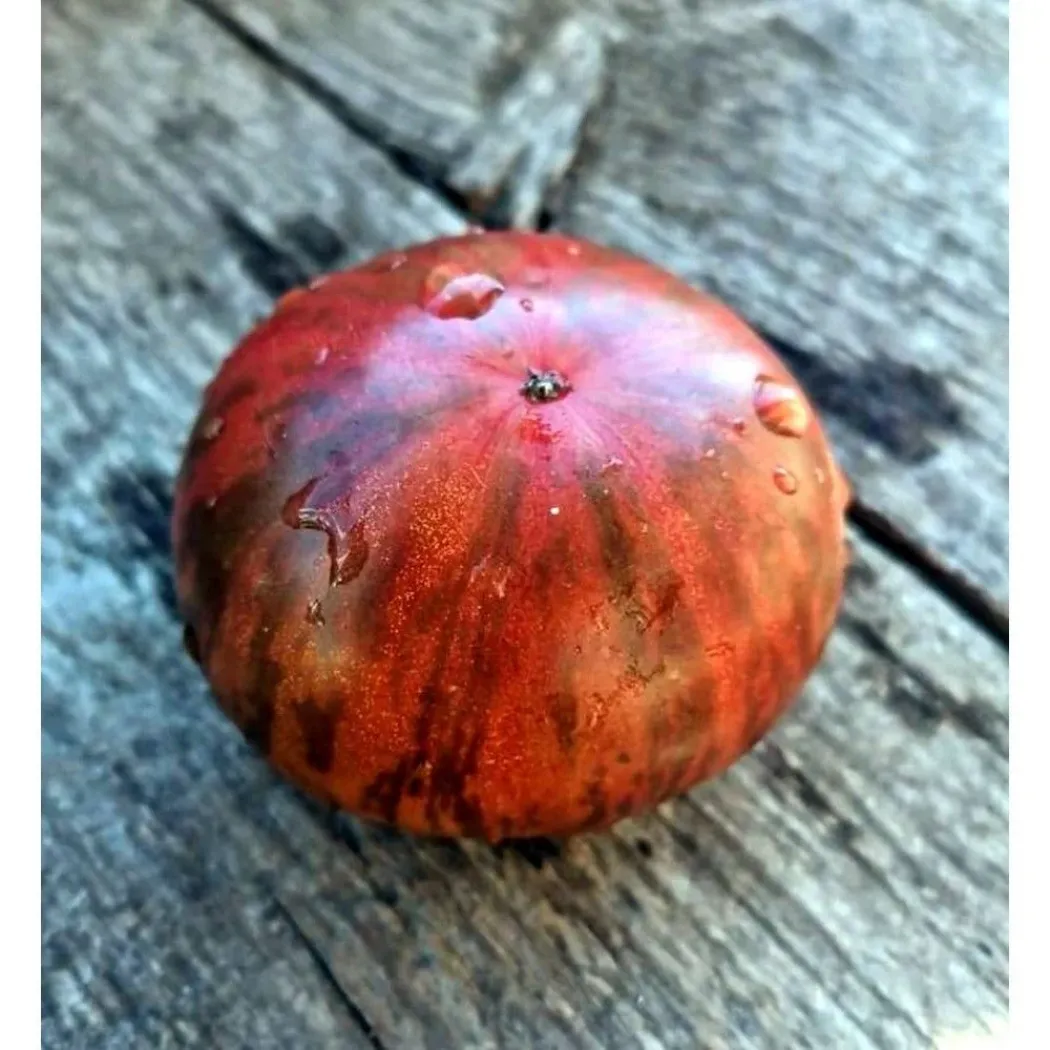 Томат Гном Малиновая нерка