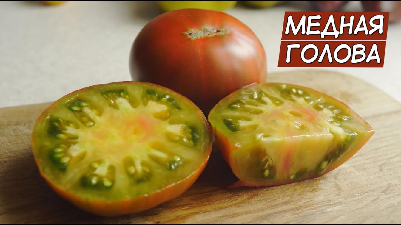 Томат Гном Медная Голова 2