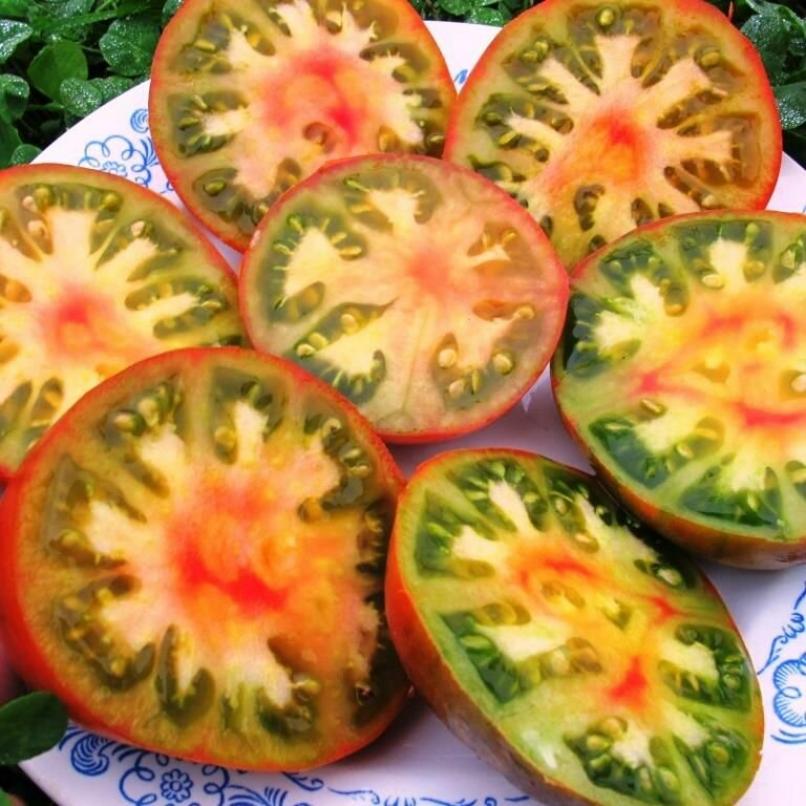 Томат Гном Медная Голова 3